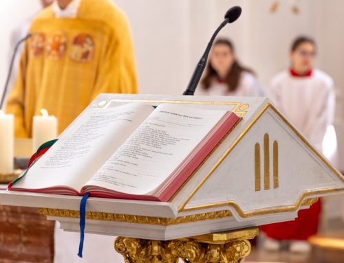 Übertragung der Gottesdienste & Hauskommunion